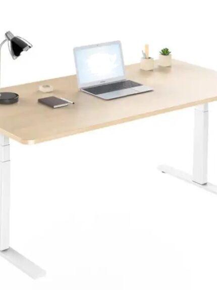 Dual Motor Single Standing Desk | Serres Range