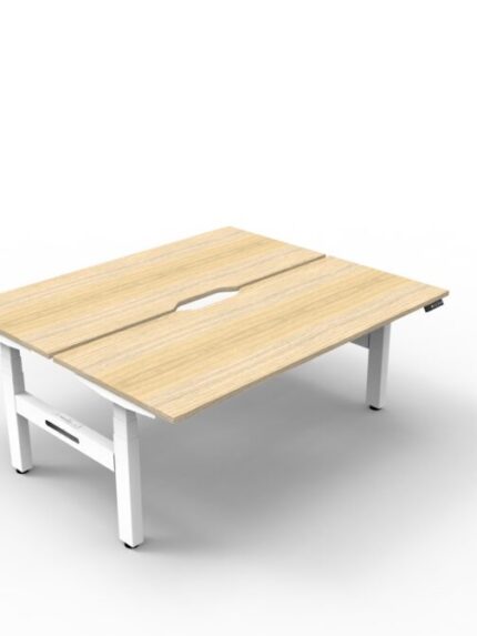 Back to Back Workstation